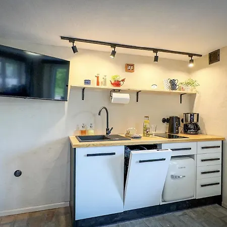 بيت للعطل Szary